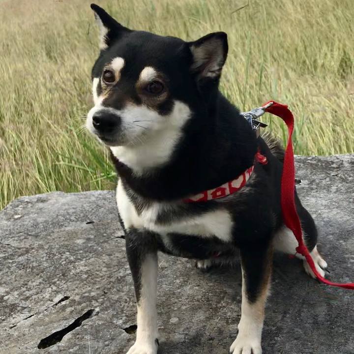 5071ba17 3734 4dc1 aee4 a52de888cbb1 1540870055578