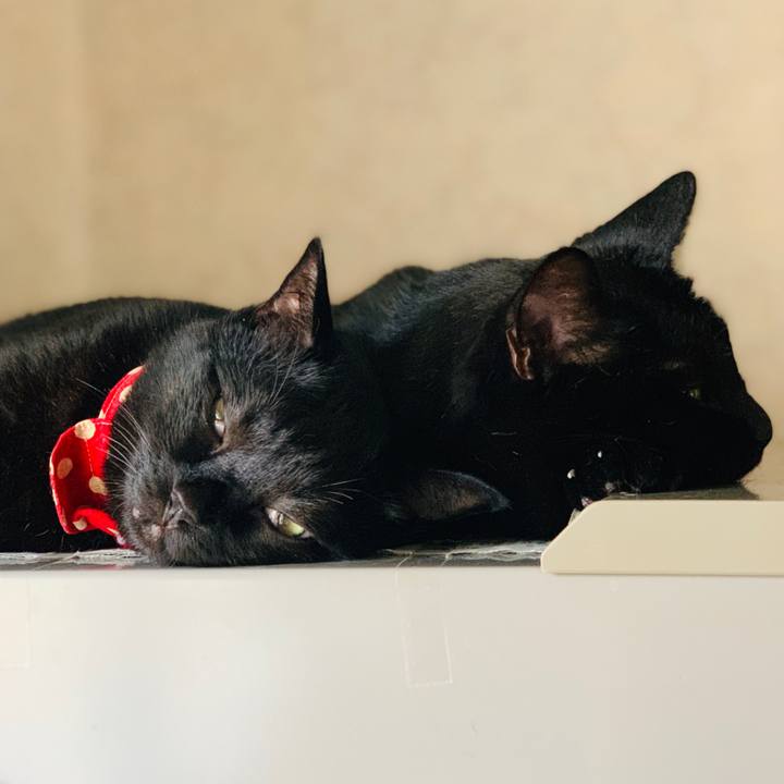 5071bc92 79a7 437e a843 434f256ae215 1562893683902