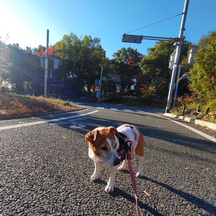 5071d4ae 8f8a 4b4a 9b81 3266fcc183fd 1763282257609