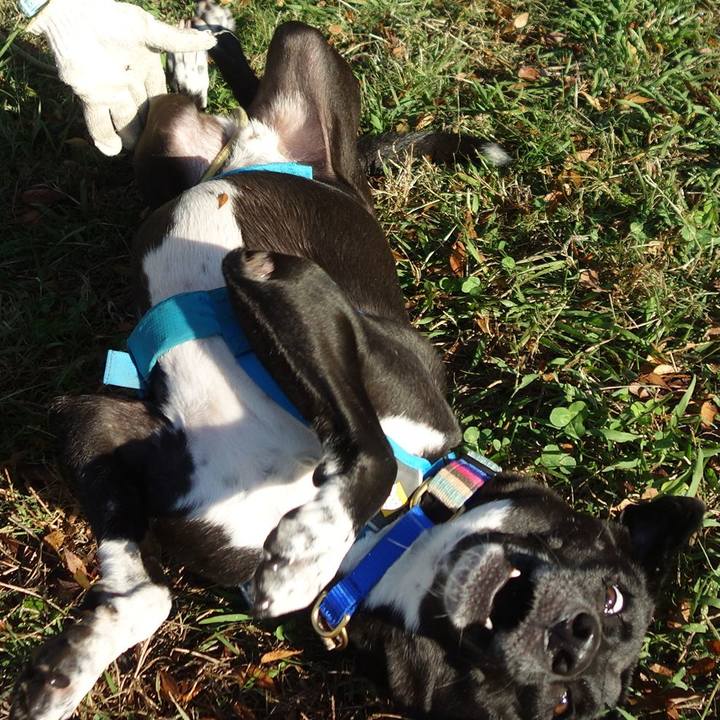 5071ea21 5449 48b5 b0da a8e3b8c57862 1635573965633