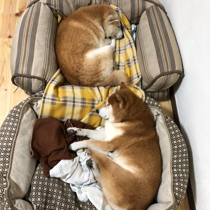 50721990 f2a5 4c2e af20 7f22f22697f4 1542581599983