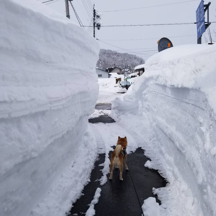 50722a69 b1a0 4e91 8404 777a3d0e0316 1645590722762