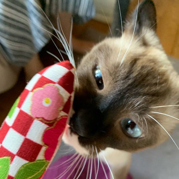 50726358 a3b9 43ce 8358 47a00737fdd1 1692863961254