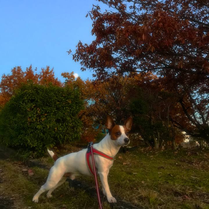 507263a3 95c1 4fc9 9a53 c2a4f8f19580 1512227528073