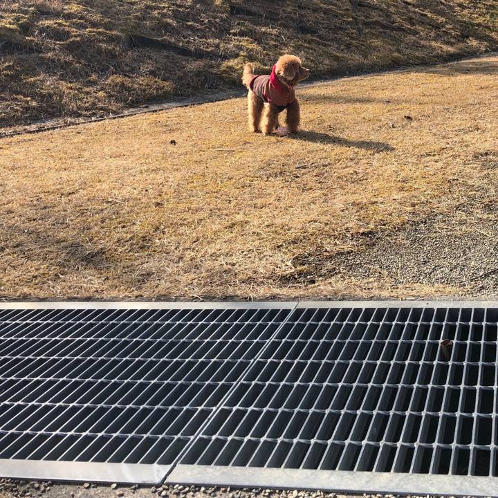 50728237 68be 4439 a3e6 3951d0f066a1 1549725940984