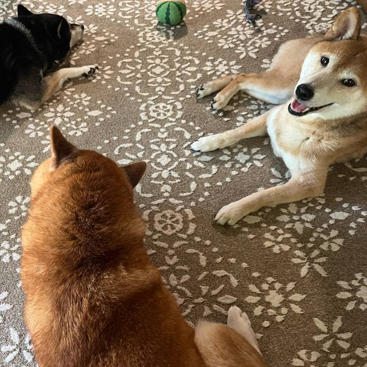 50729c88 1bc4 4ddd 9521 8c8ddf8722a2 1753346237544