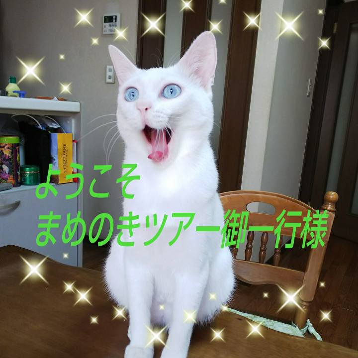50729e4f 1d60 4742 879f 4cd3e10f0a39 1534827850515