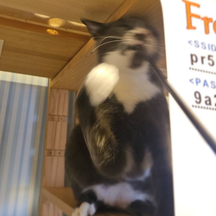 5072c1b9 c19e 4577 9f5b 658b3b899798 1754879758429