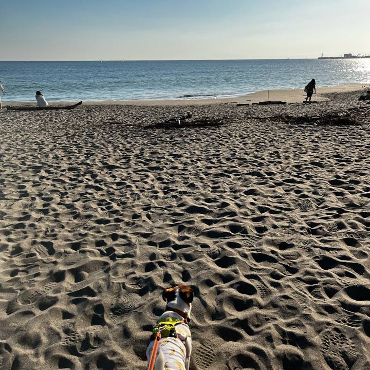 5072c6bb 2dfa 4401 a586 07a7574dbe94 1728962767506