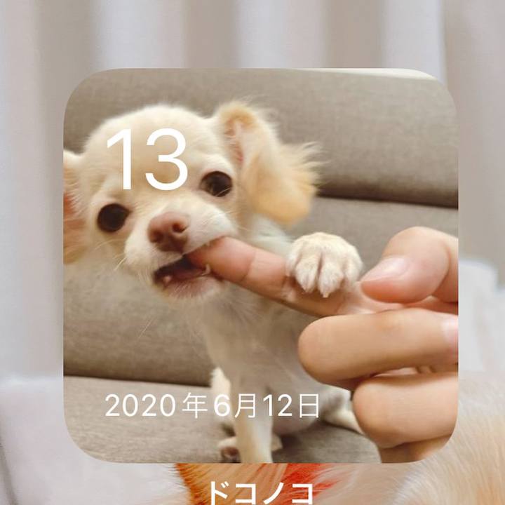 5072e9a4 3b87 4d32 85de d590c367da29 1655123607965