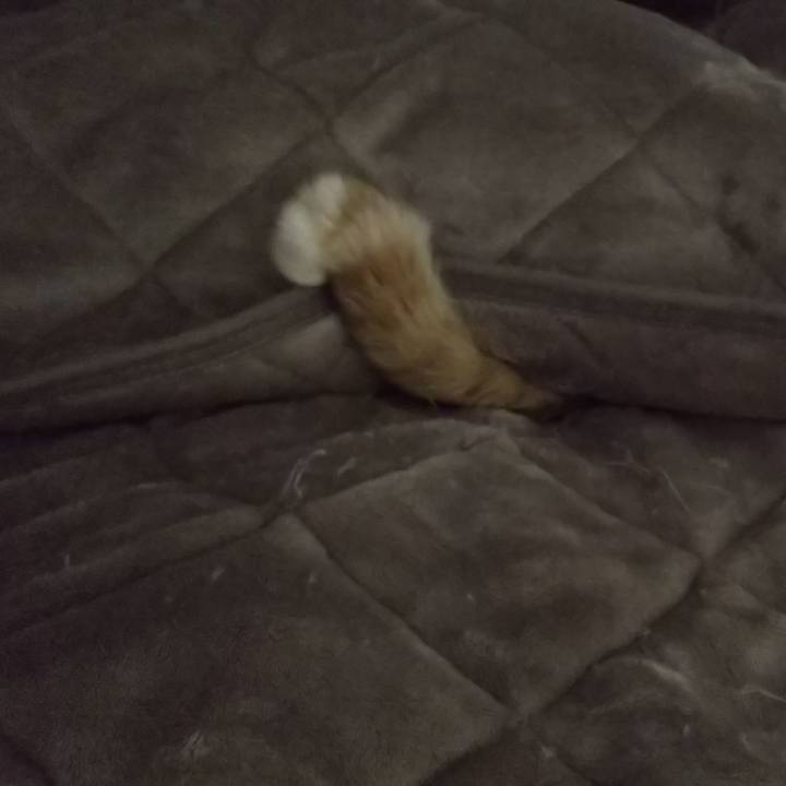 50730495 88fe 4d18 a1fc d471925c01ff 1588806323453