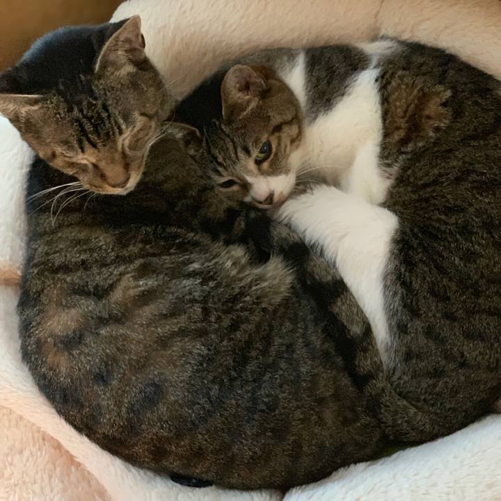 50730d38 67c1 469f 9907 f6a17be8d670 1755040397784