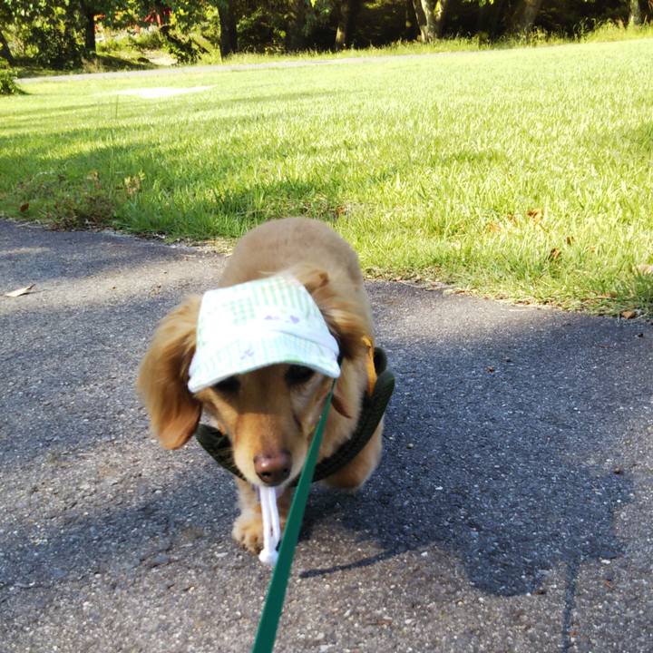 5073a944 1205 4c7f bf60 39e4a13e2f24 1623196269278