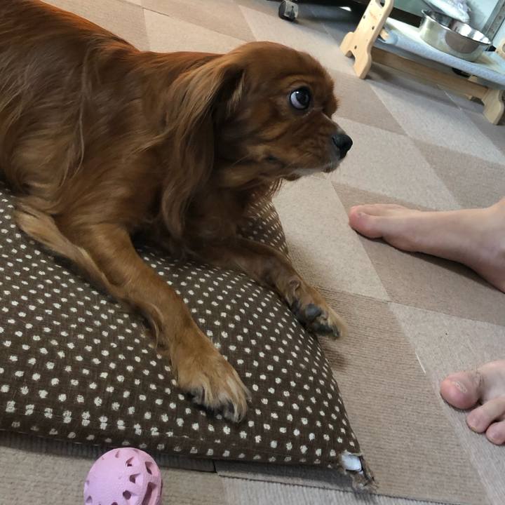 5073ac63 b0b0 419d 9192 4b71d610318a 1570660118334