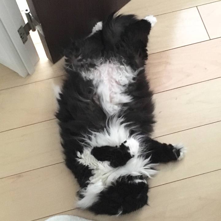 5073aeca 536a 436a 9323 00f63933a516 1522727873057