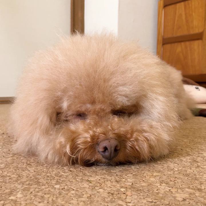 5073b883 9f43 4e8a 9449 f202a12676a2 1539577635873