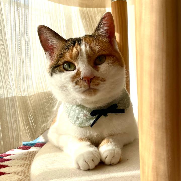 5073df92 5fe2 4eb3 ab29 0d4a564a1077 1668833654559