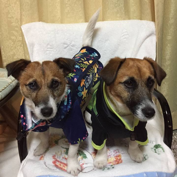 50741c4d 1bd1 4be8 a4ba 030d1efe6a73 1520163118360