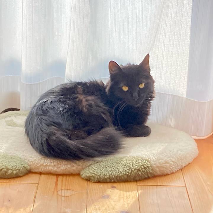 5074334a 4474 493d 8d88 8095bccaa67e 1737724239767