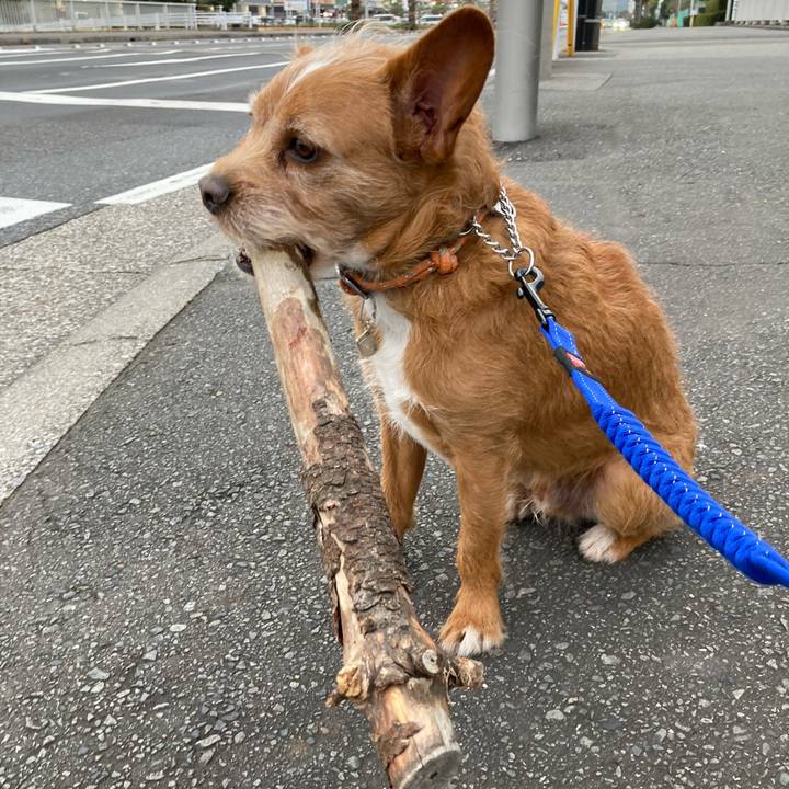 5074734c 15fc 4722 a1b8 1460a51c4bdd 1614346638163