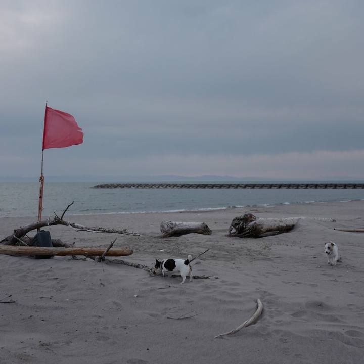 50748a78 7373 4f3a 97ca e6c8e1f758be 1524889885016