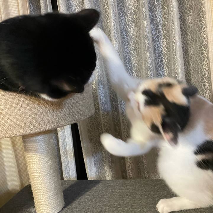 50749055 da8d 4c96 b229 40a3c7b157e7 1670159587777