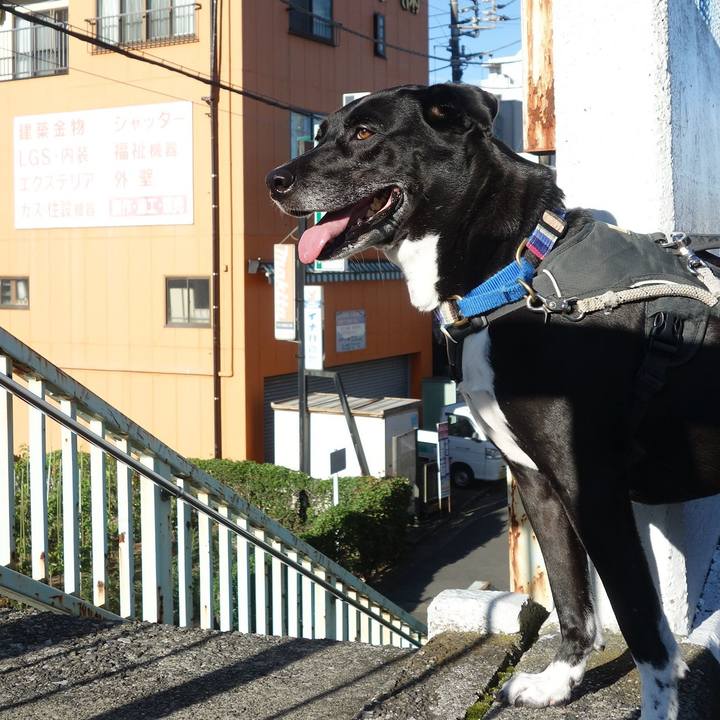 50749494 6097 4b28 8103 01222885c55a 1660869454136