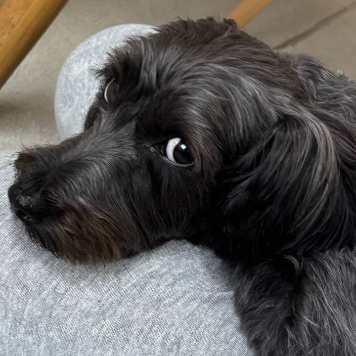 50749b7d 135a 4aa6 b6c0 db690e7fe03d 1757168176993