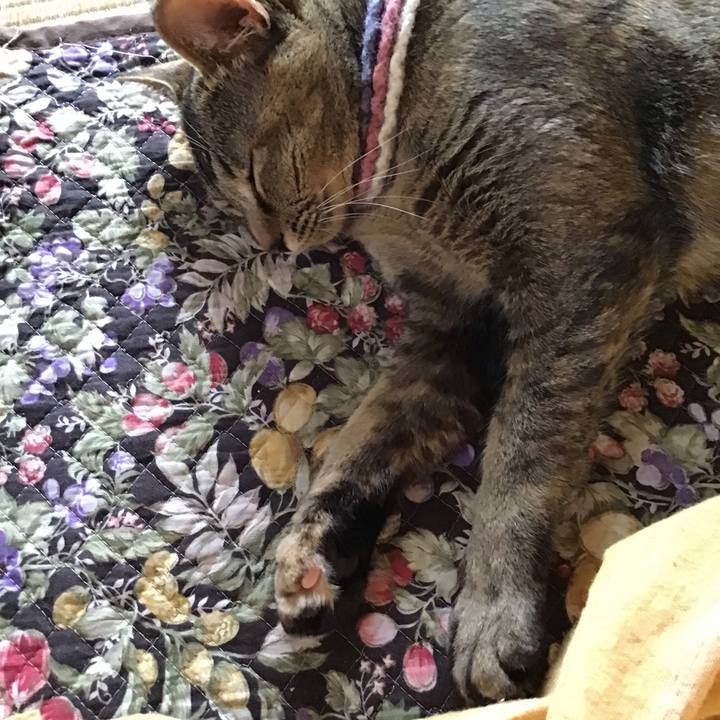 5074aada 4a2e 40f0 9839 cbfc70aacc0a 1620362937238