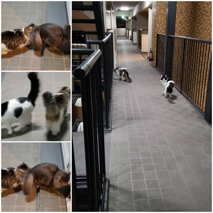 5074b38c 710c 49a7 80a8 15830d6a1c52 1581889523606