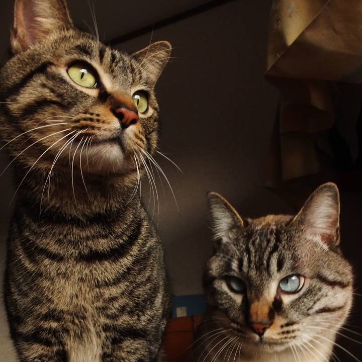 5074ed3f a66f 46d5 a044 dede05668686 1527135826022