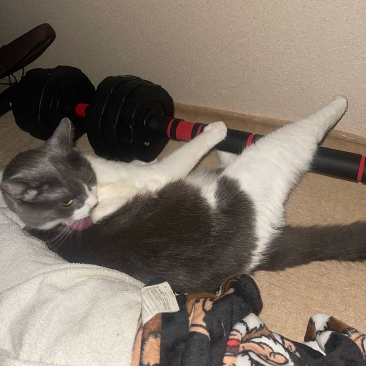 50751d92 cc47 4cc5 89a0 1923bc56cb6b 1754598657639