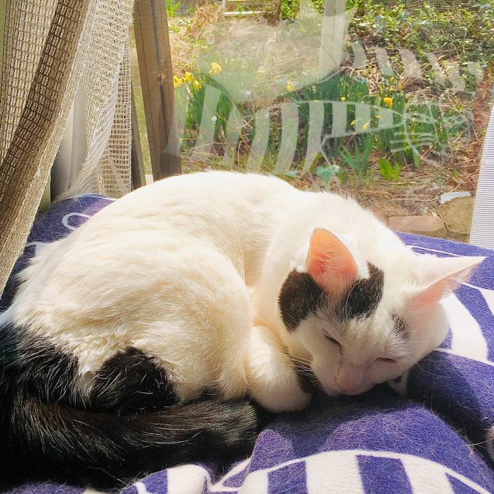 50752f77 791c 4ce2 b940 2bdf5b5f8556 1585206901472