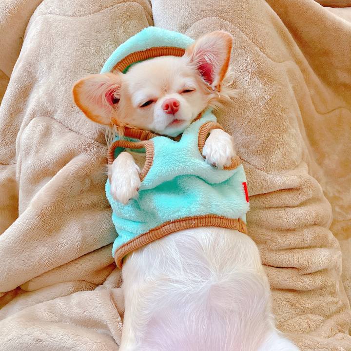 507532e0 4df3 48f9 9fb4 76d9caf30d0a 1636510396948