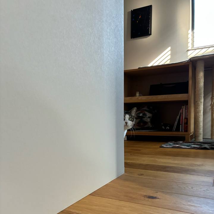 507534cd 9716 4207 8593 2ae484cc5909 1768707723078