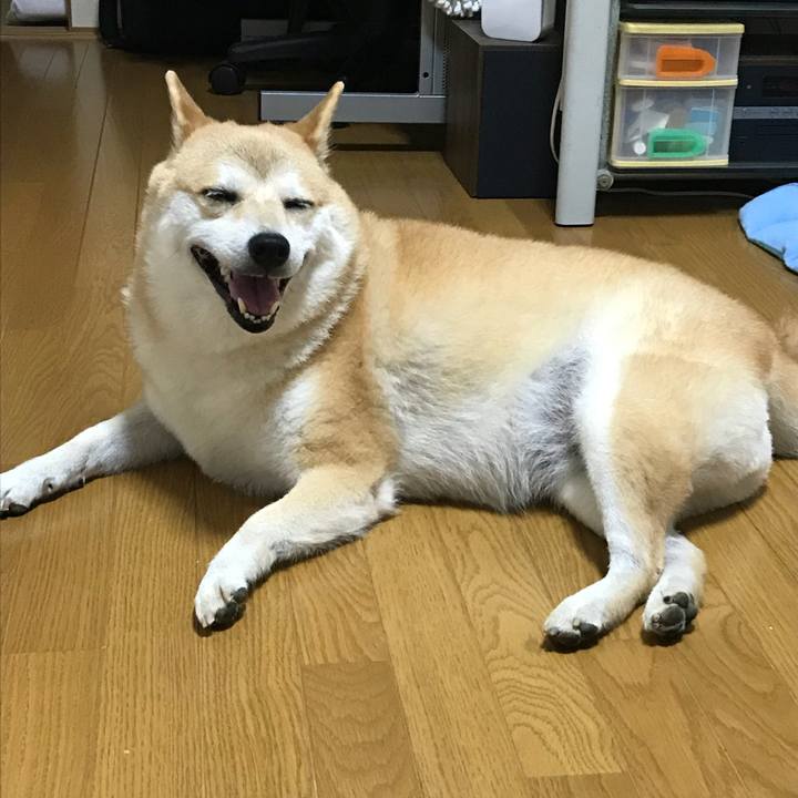 5075364e d31a 4cfa 800f 6ecfdf6bb7c2 1534120851398