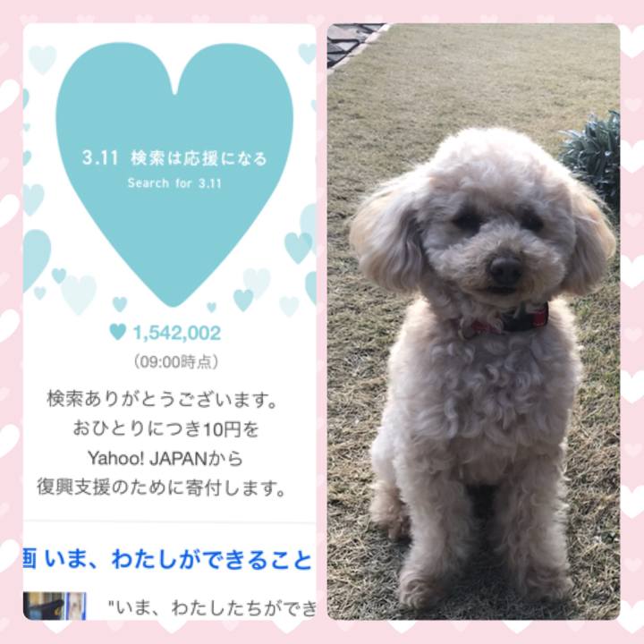 50755af0 612c 4098 9888 b2c8fc6b8daf 1583886408088