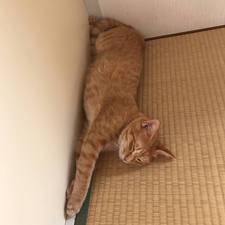 5075675f 52af 4eb1 83b3 3b8368f06efd 1568075619958