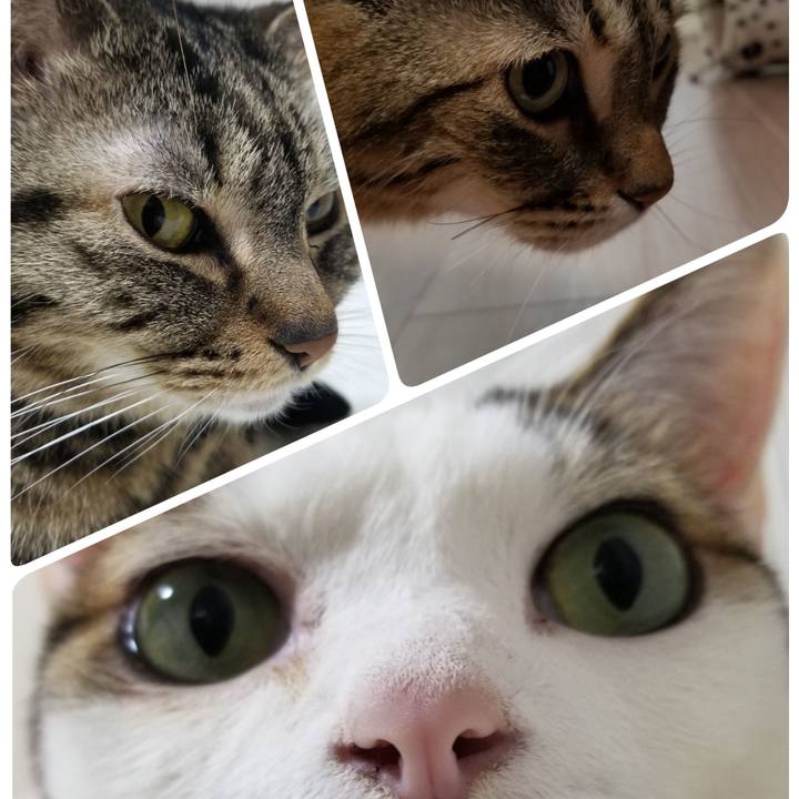 50756956 903b 4258 aba1 179ee4f8d71e 1554418114028