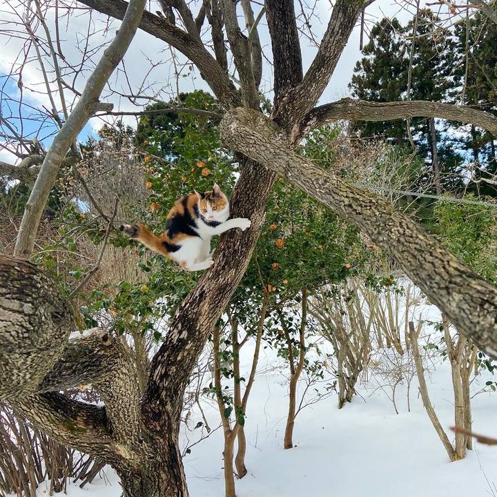 50758f52 51e9 49df 955c 3a457a39dcae 1641101877842