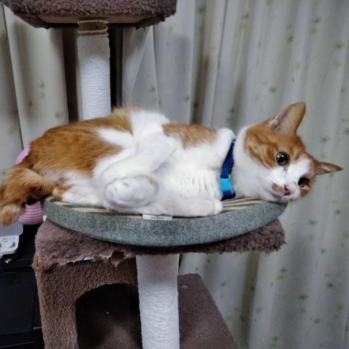 5075aafc cb17 47c6 949a 29a9eb7ff23b 1554511439094