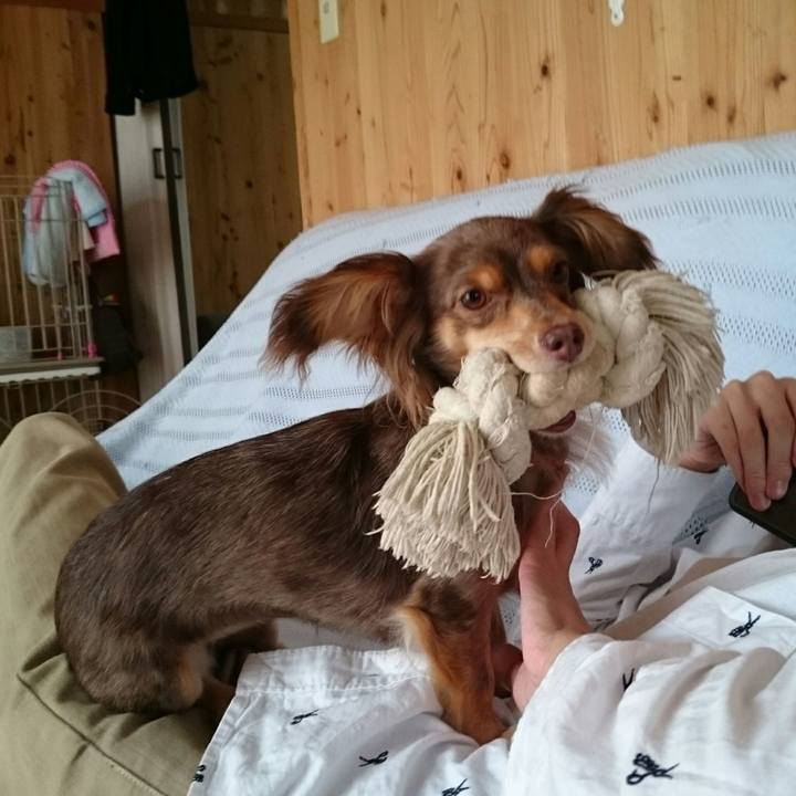 5075b113 e2c7 4653 b4bc c4ad5d1f5e6b 1507638417805