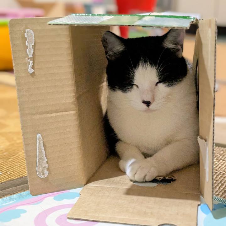 5075b80a 7415 4ba6 bb44 831fa7e58aef 1758611069481