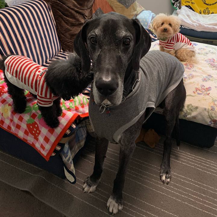 5075d3f3 c68f 4840 a55b ecbf90f93574 1587422062290