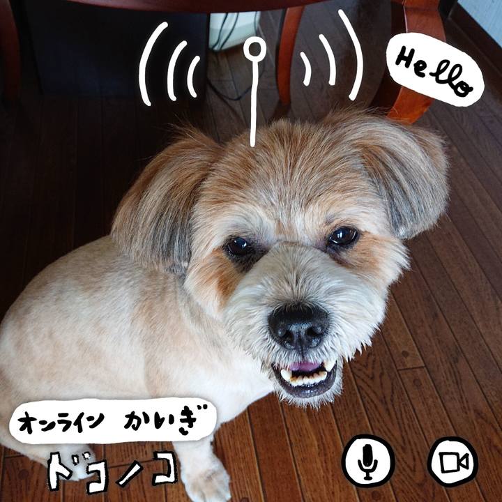 507615b4 65d9 44fa acda aef5a9e30d68 1590728653465