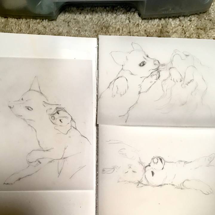 50761683 78b8 4766 ae7c 571e402c1a02 1591708560119