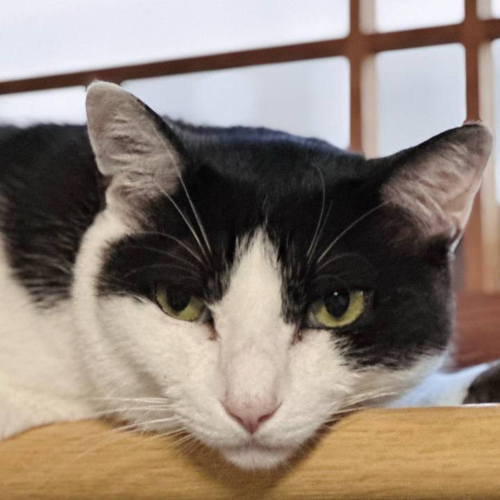 50761b34 bccf 48a9 9ab6 5e56129a79d5 1691196634593