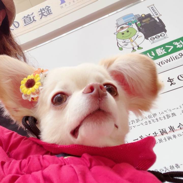 507621cb dd1e 4b24 8d40 3d2b71a0a3fa 1687266105368