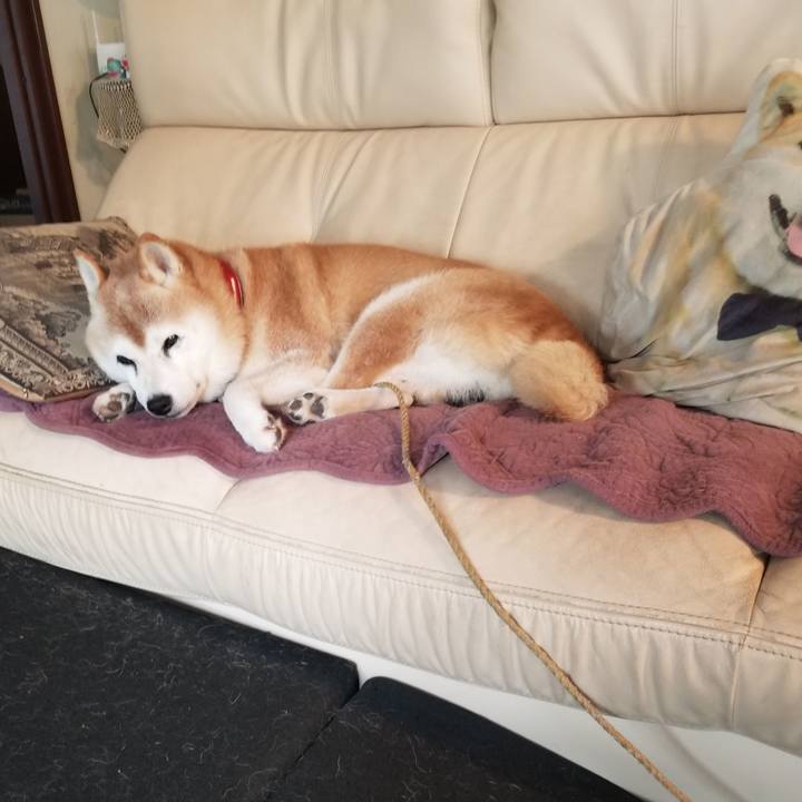 5076272b 4e41 4189 a3ef e13293067253 1728605039558