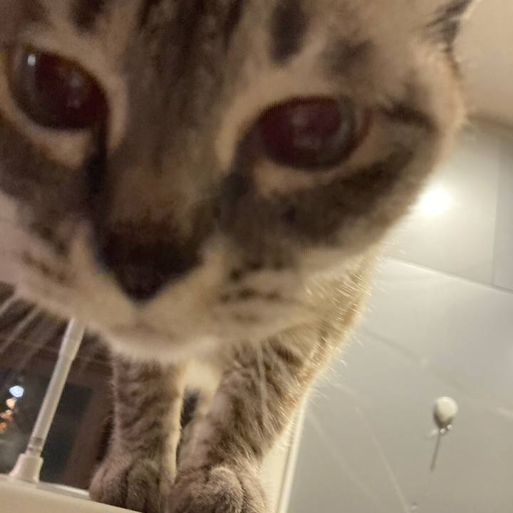 50762945 0109 4766 b943 b16facc9aa00 1748004264066